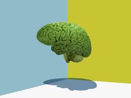 Do not try to get over grief too quickly, it is a process that takes time. Confused About Covid Brain Fog Doctors Have Questions Too Wired