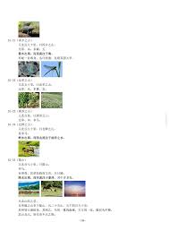 还原 山海经 发现历史 restore the the way of mountains and rivers 东晓市 肖潇雨 google books places to visit visiting books