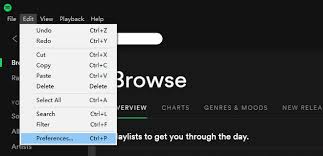 How To Import Your Local Music To Spotify Noteburner