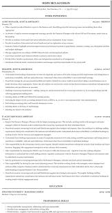 The auditor resume is a summary resume which is most commonly used by an accounting professional. Audit Assurance Resume Sample Mintresume