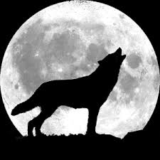Add more detail and add the ground. Wolf Tattoos On Pinterest Angry Wolf Wolves And Wolf Howling Clipart Best Clipart Best Wolf Howling At Moon Wolf Silhouette Wolf Pictures