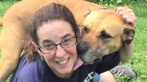 Adopt Me: Jasmine the Terrier/American Staffordshire mix