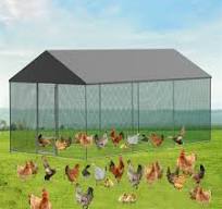 19.7ft Spacious Chicken Coop Run Large Walk In Pet Cage Heavy Duty Hen  House US