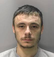 Hailsham News, February 2025, Issue 42 by Regional Media Group