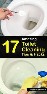 17 Amazing Ways To Clean A Toilet In 2020 Toilet Cleaning Hacks Toilet Cleaning Vinegar Cleaning
