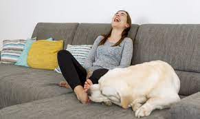 Warum Leckt Mein Hund Mich Ab Die Bedeutung Des Ableckens Bei Hunden