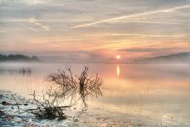 Apa limpede a oceanului sau a unui lac inseamna calm, pace, liniste si exprima starea ta sufleteasca actuala. Ce InseamnÄ Cand Visezi ApÄ Nu E Semn Bun Observatornews Ro