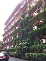 太山小学（34中附小）3人 求是小学4人 西苑小学3人 志正小学（少华三小）3人 太山小学（34中附小）2人 姚庄小学（少华二小）4人 少华街小学1人 黄河新村小学2人 姚庄小学（少华二小）3人 光荣巷小学1人 奎山小学1人 碧水湾小学1人 太山小学（34中附小）1人 å¥Žå±±å­¸æ ¡åƒè§€è¨˜ å¤–è§€ å»ºç¯‰ çµ®èªž é›¶æ™‚å·® ç—žå®¢é‚¦