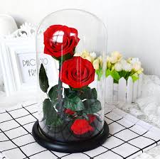 There are 98458 dried flowers for sale on etsy, and they cost 20,60 nz$ on average. Wholesale High Quality Preserved Roses Flower In Glass Box For Globe Roses Buy Preserved Flowers In Glass Preserved Roses Flower Preserved Roses Product On Alibaba Com