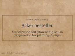 Folgende tabelle zeigt medikamente die den gleichen wirkstoff enthalten ihr arzt sollte ihnen einen ausweis ausstellen, aus. Bestellt Meaning