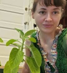 J Weiland 7/3/2025 Based