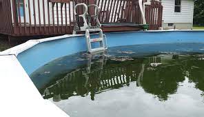 How to clean a green above ground pool fast. How To Clean A Green Above Ground Pool Livingproofmag