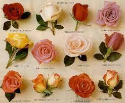 You may choose a series starting with 3 months and ranging up to an entire year, knowing that each gift will be delivered on time and in superb condition. By Month Types Of Roses Language Of Flowers Birth Month Flowers