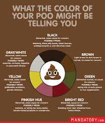 A normal stool is usually firm, a dark brown color, and retains its shape if scooped. Giardia Diarrhea Color Hasi Kiszelesedes Bel Parazitak
