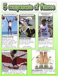 32 5 Components Of Fitness Worksheet Worksheet Resource Plans Muscular Endurance Fitness Quiz School Health