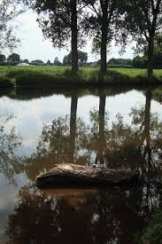 Jun 15, 2021 · anya wassenberg is a senior writer and digital content editor at ludwig van. Tour 178 Wassenberg Ophoven Auf Dem A10 An Die Rur Wanderwegewelt