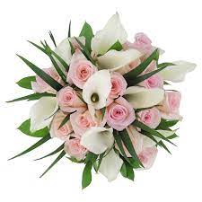 Check spelling or type a new query. Best Couple Bridal Collection No 2 Light Pink Costco