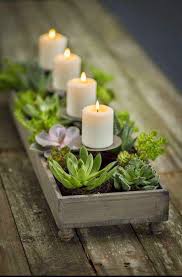 Ciao Newport Beach Winter Ideas For Succulents Succulents Room With Plants Plants