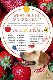 What Fruits Can Dogs Eat A Look Into 21 Common Fruits In 2021 Fruits For Dogs Dog Safe Food Safe Fruits For Dogs