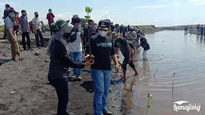 Para pengunjung bisa menikmati pemandangan pantai yang indah, berkuda keliling pantai serta menikmati kuliner seafood, ujar pengelola wisata pantai watu pecak, didik nurhandoko kepada detiktravel, sabtu (26/12/2020). Peringatan Hari Pohon Sedunia Pecinta Lingkungan Tanam Pohon Di Pantai Watu Pecak Lumajang Visitlumajang