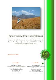 Image result for Aspidoglossum hirundo