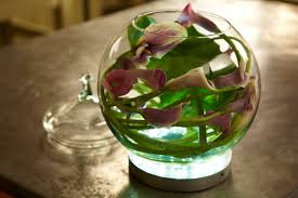 Maybe you would like to learn more about one of these? How To Arrange Flowers Calla Lily Bubble Bowl Arrangement Ubloom