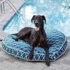 Our range of replacement dog bed covers will give a new lease of life to your dog beds. 14 Healthy Dogs Ideas Dogs Pet Bed Dog Bed