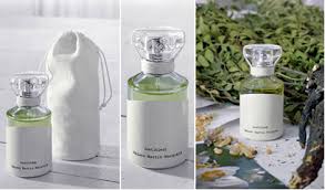 It took its own sweet time getting to the vogue helpfully informs me that the biggest insult to a maison martin margiela runway collection is that it's wearable. the perfume, sorry to say, or. Daniela Andrier