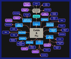Cold Flu Chart Aldora Dawn The Kitchen Witch