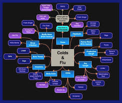 cold flu chart aldora dawn the kitchen witch