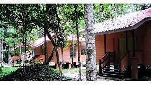 Empangan muda dam is a main gateway into the eco park. Earth Lodge In Ulu Muda Jungle Kedah Whoa Adventures Best Malaysia And Borneo Discount Adventure Cheap Travel Deals In Asia