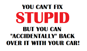 You can t fix stupid quote. Cant Fix Stupid Quotes Quotesgram