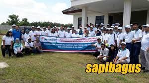 Baik dalam harga satuan, maupun harga grosir di tingkat distributor dan di toko jual beli bahan bangunan dengan kualitas terbaik. Peserta Munas Gapuspindo Kunjungi Mitra Binaan Di Lampung Sapibagus Com