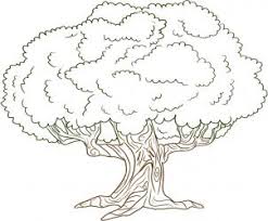 Check spelling or type a new query. Step By Step Oak Tree Drawing Novocom Top