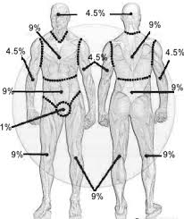 Total Body Surface Area Tbsa Calculate Percentage Of