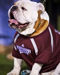 Pin By Rolltidewareagle Com On Country Love Mississippi State Mississippi State Football Mississippi State Bulldogs Football