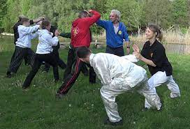 Melden sie sich noch heute an, um mit unseren trainings inneren frieden und balance zu finden. Trainingsprogramm Fur Shaolin Kung Fu Level 1