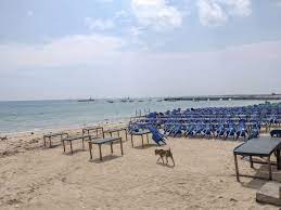 Der bodensee ist als größter see deutschlands natürlich ein super schönes urlaubsziel. Die Schonsten Badestellen Fur Den Familienurlaub Mit Hund In Deutschland Reise