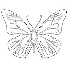 Who does not love the beauty of their colors and the flutter of their wings? Top 50 Free Printable Butterfly Coloring Pages Online