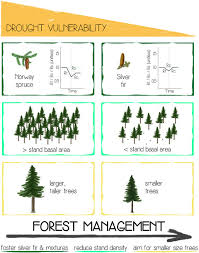 Growth Resistance And Resilience Of Mixed Silver Fir And Norway Spruce Forests In Central Europe Contrasting Responses To Mild And Severe Droughts Bottero 2021 Global Change Biology Wiley Online Library