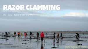 Beach Bounty Guide To Digging For Razor Clams Northwest