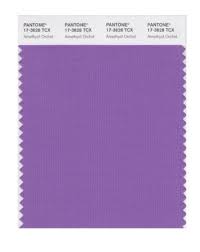 Pantone Smart 17 3628x Color Swatch Card Amethyst Orchid Pantone Http Www Amazon Com Dp B004o7g4c8 Ref Cm Sw R Pi Pantone Radiant Orchid Warm Spring Colors