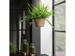 Image result for ledviník