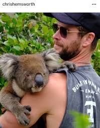 The Porcupine & Koala Show