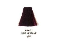 Phyto Color Bitkisel Sac Boyasi 4ar Akaju Kirmizi Kestane Urunu Ile Saclarinizin Guzelligini Ve Sagligini Koruyabilirsiniz Phyto Sac Sac Boyasi Sac Guzelligi