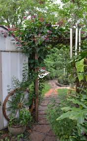Bleeding Heart Vine Pathway Into The Garden Garten Garten Ideen Romantisch Wohnen