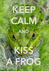 Image result for quotes about frogs
