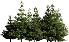 Ed Pinegar Obituary (1935