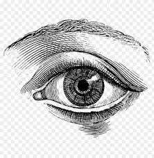 Check spelling or type a new query. Download Single Eye Vintage Drawing Png Images Background Toppng