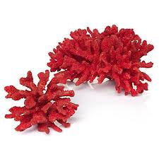 Exceptional Coral Decorations 4 Faux Coral Decorative Pieces Coral Decor Ocean Home Decor Red Home Decor